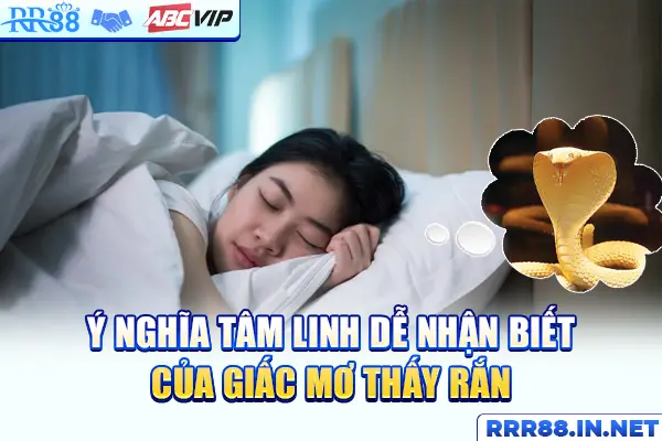 Ý nghĩa tâm linh dễ nhận biết của giấc mơ thấy rắn